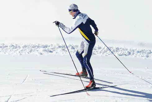 Il passo a spina di pesce