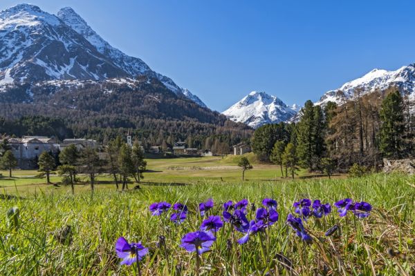 Maloja und Isola